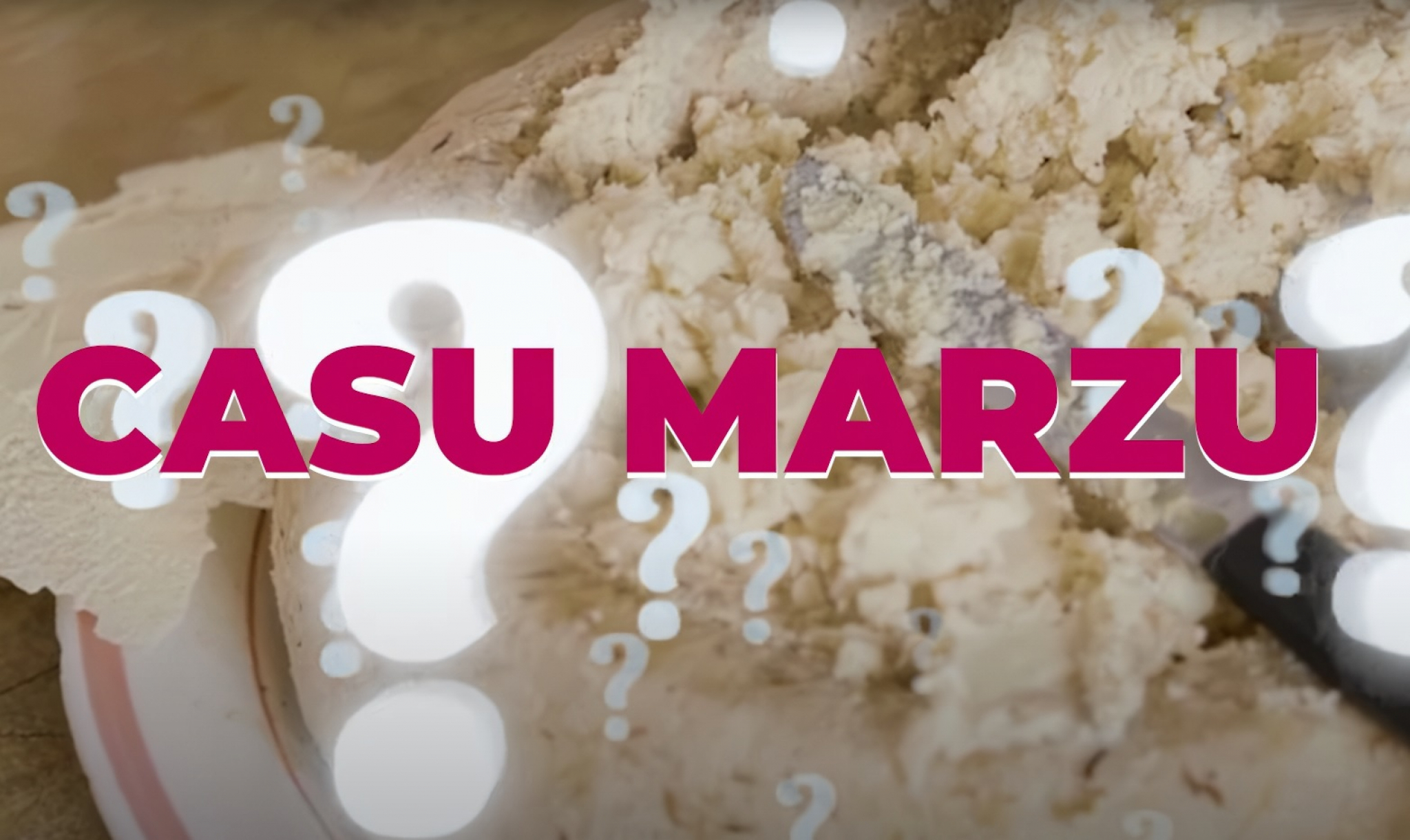 casu marzu