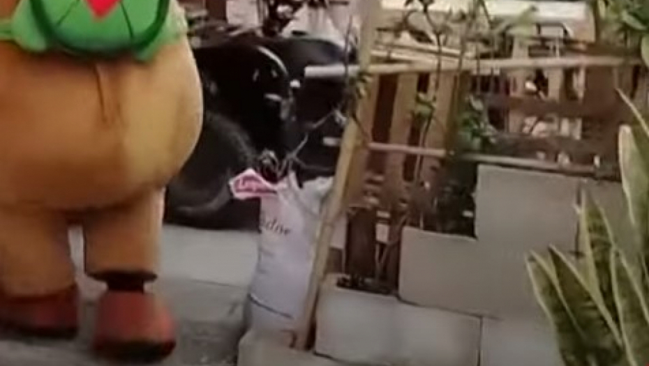 policajac se maskirao u prase