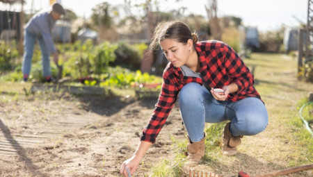 Početak jeseni je važan period za održavanje bašte.
