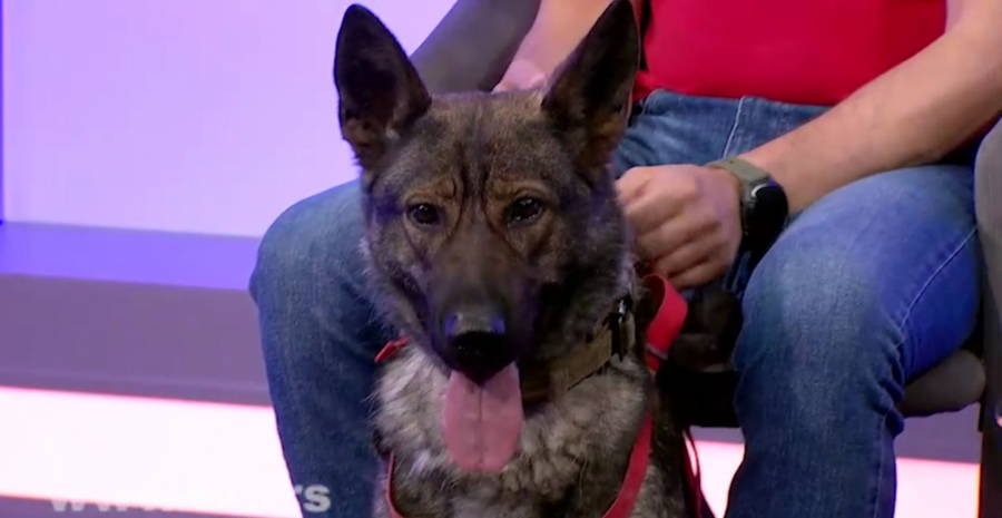 gss pronađena devojcica