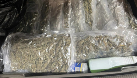 Po nalogu Višeg javnog tužilaštva u Sremskoj Mitrovici, osumnjičenom je određeno zadržavanje do 48 časova, u kom roku će, uz krivičnu prijavu, biti priveden tužilaštvu.