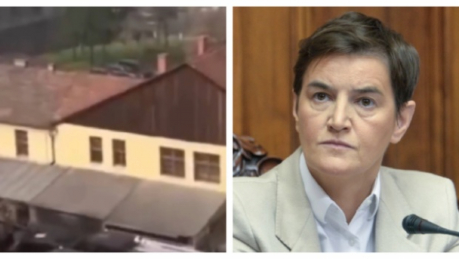 ana brnabić