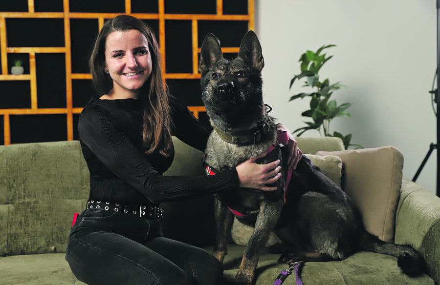 ikona dejan ševković