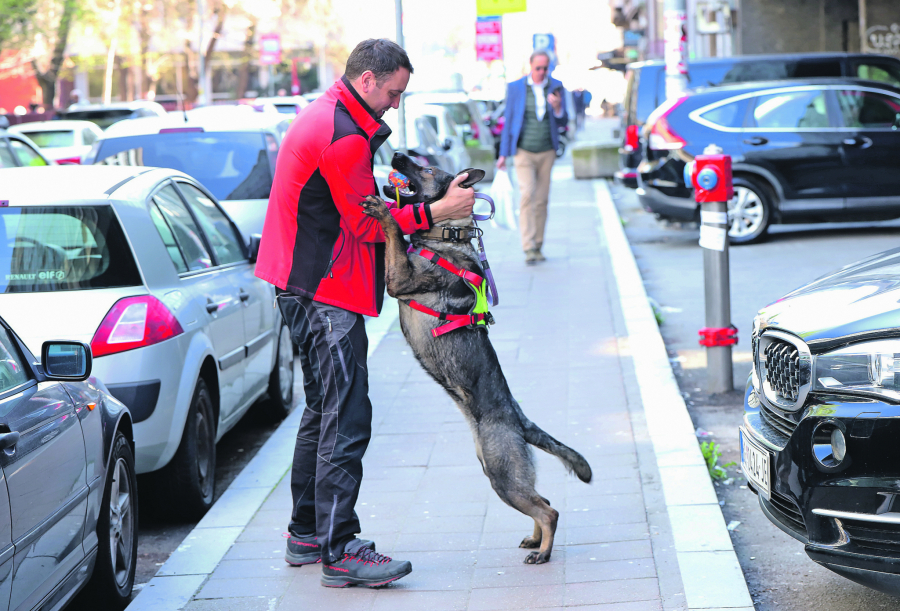 ikona dejan ševković