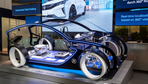 Foto: VanderWolf Images / Shutterstock.com