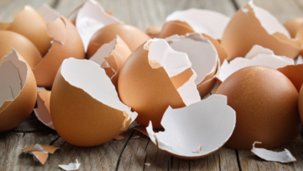 ljuske od jajeta