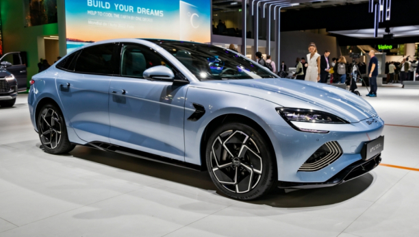 Foto: VanderWolf Images / Shutterstock.com