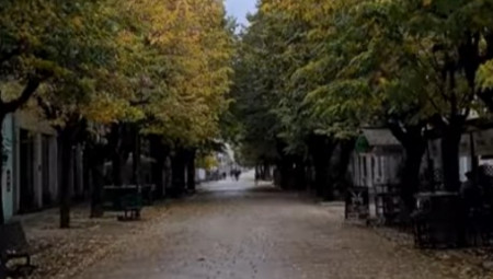 Užasavajući incident u Njegoševom parku