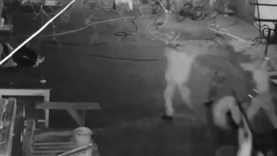 Ukrajinka puca iz sačmare