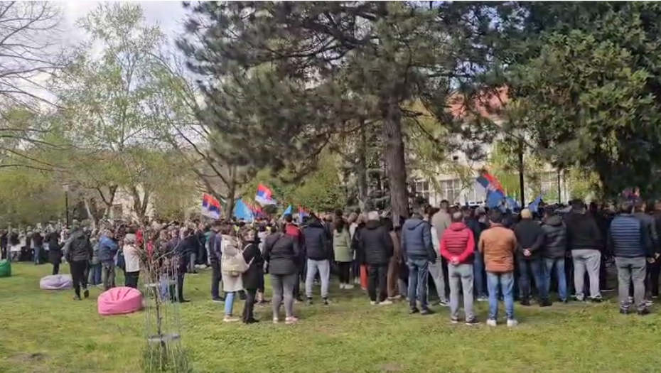 stara pazova, novosađani