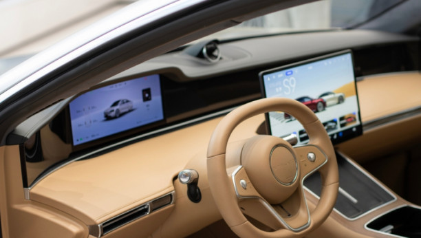 Foto: Tada Images / Shutterstock.com