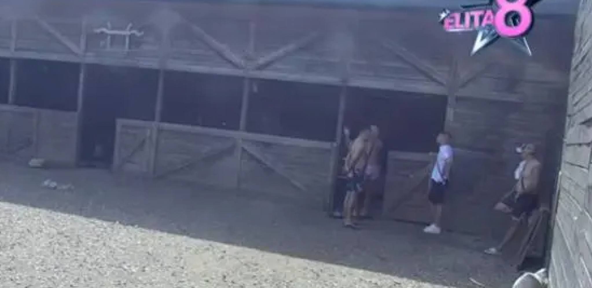 Nikola Grujić Gruja