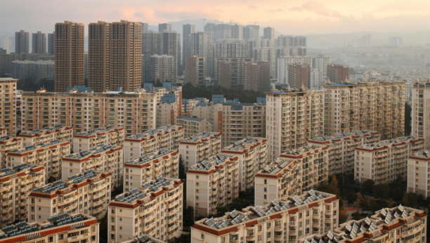 Foto: Barnaby Chambers / Shutterstock.com