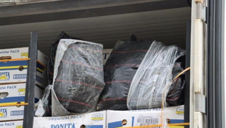 Supstanca koja je bila spaljena zapravo nije bila droga, a gde je pravi kokain koji je zaplenjen još pre 15 godina niko ne zna