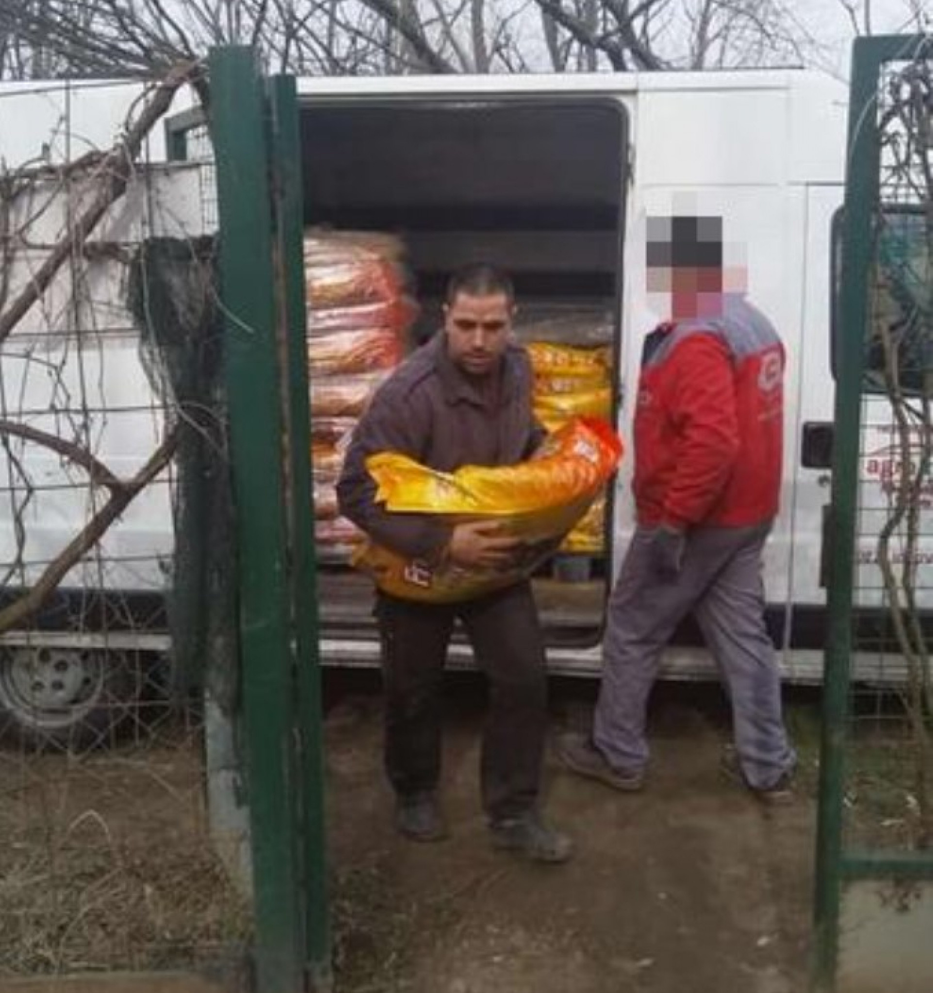 Veliko Gradište azil