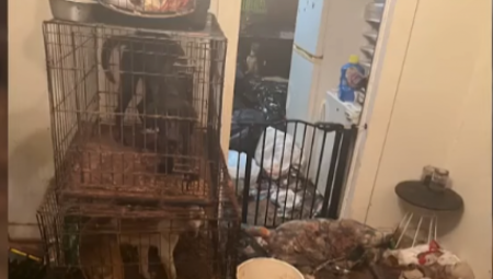 Policija u Južnoj Karolini uhapsila je Kajlu Renard i Nikolasa Folija nakon prijave koju je podnela Socijalna služba