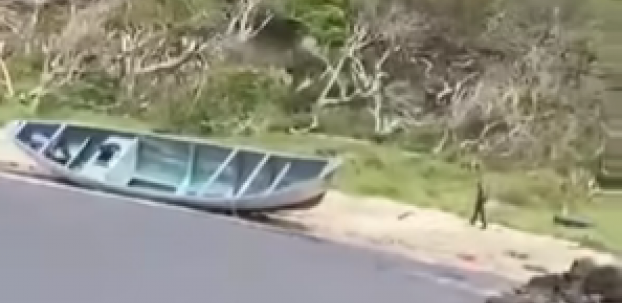 Foto: printscreen/facebook