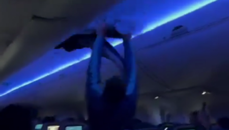 Let kompanije Delta Er Lajns bio je dva puta odložen u subotu nakon što su dva goluba izazvale haos u avionu