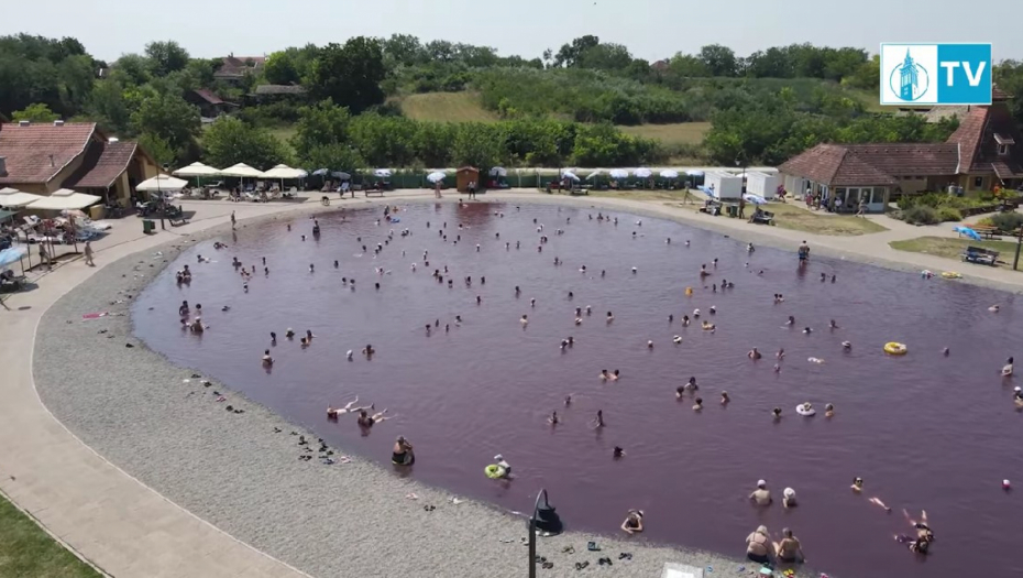 roze jezero u Bačkoj