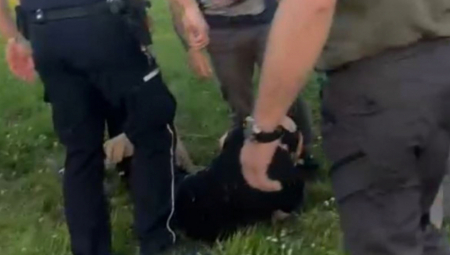 U Futogu 31. maja  je došlo do skupa odreda blokadera koji poput Hitler Jugenda napadaju sve koji drugačije misle.