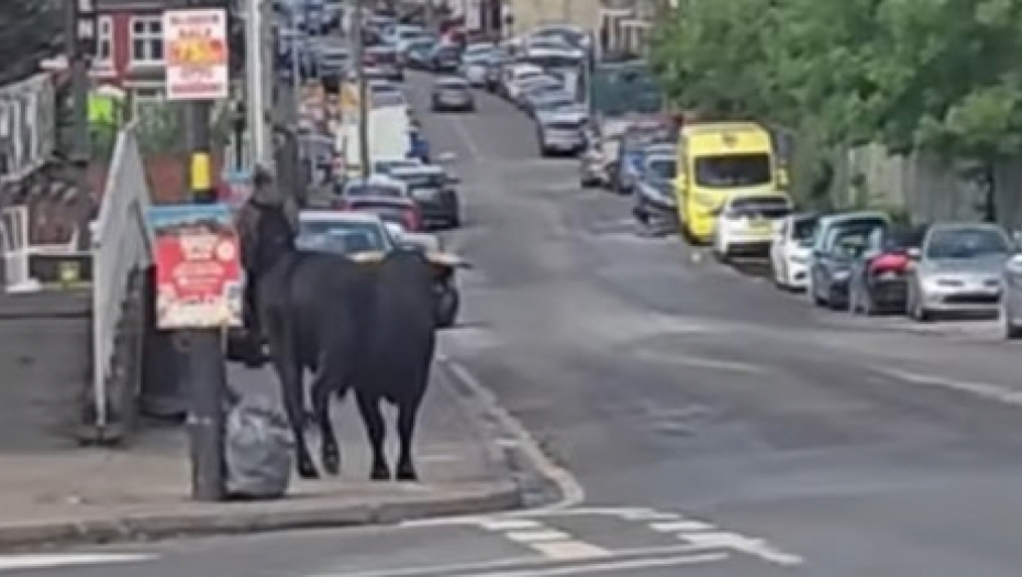 bik zaustavio saobraćaj