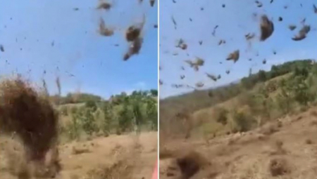 Na livadi u selu Vrdila kod Kraljeva usnimljeno je kako se pokošeno seno kovitla u vazduhu stvarajući mini-vrtlog koji na prvi pogled podseća na tornado.