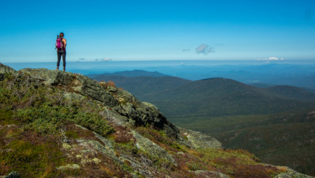 Bugarin koji je nestao pre 17 godina i proglašen mrtvim pronađen je živ u udaljenom delu Nacionalnog parka Pirin