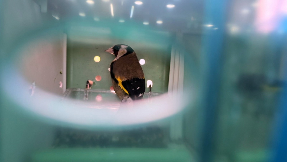 FOTO TANJUG/ Ministarstvo finansija/ Uprava carina/ bg