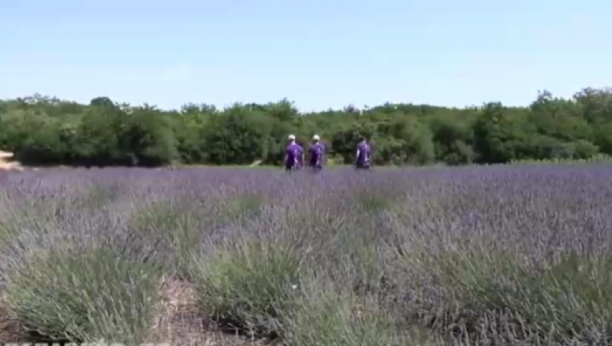 Foto: Printscreen/RTS