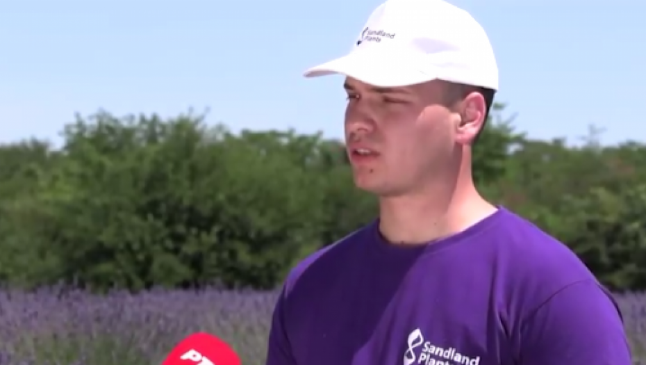 Foto: Printscreen/RTS