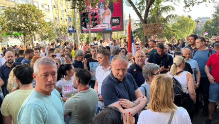 Oni niti imaju poštovanja prema sebi niti prema svojoj zemlji, pa ne mogu da razumeju ni politiku koju predsednik vodi, kaže Milenko Jovanov