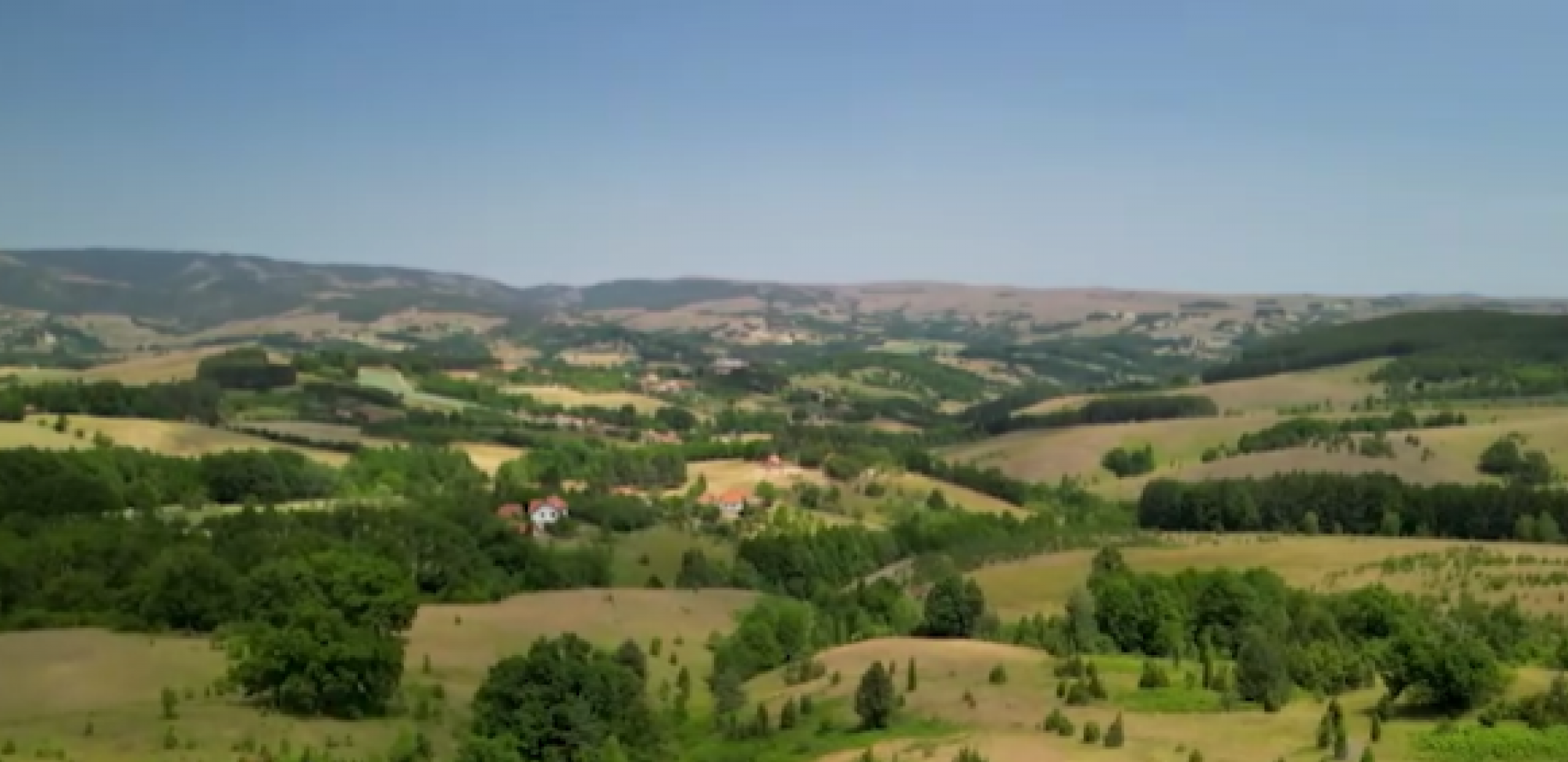 Foto: Printscreen/RTS