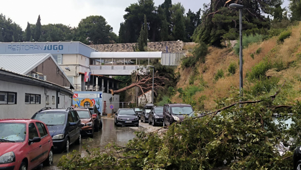 FOTO TANJUG/ FOTO HINA/ LUCIJA VUJNOVIĆ/ bs