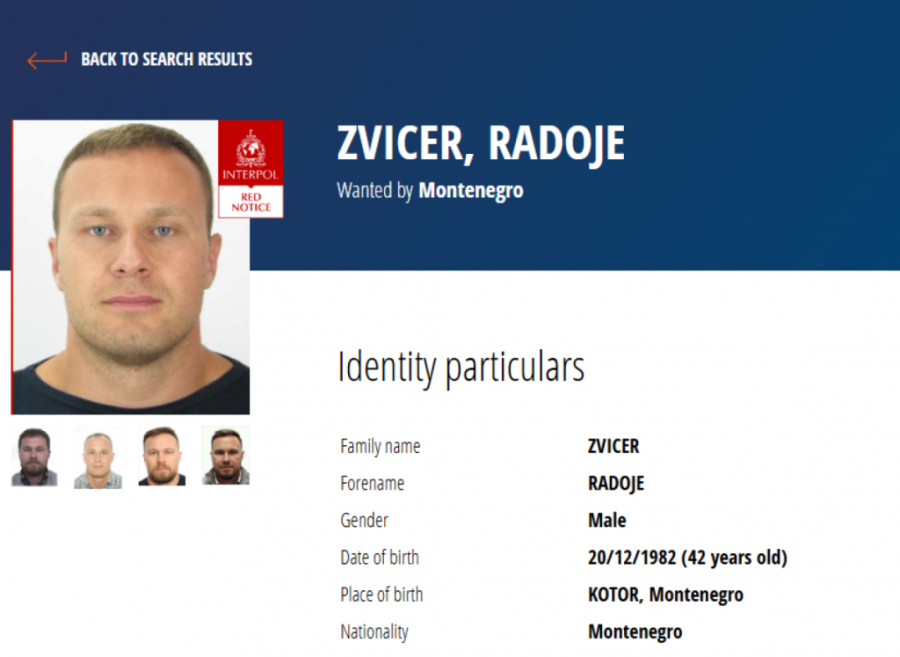 Radoje Zvicer