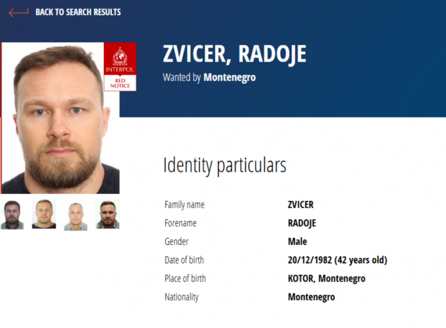 Radoje Zvicer