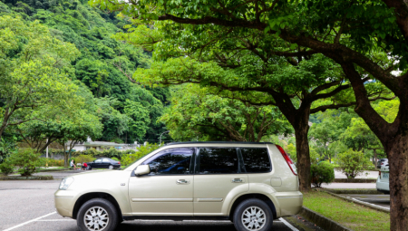 DOLIJALI TRGOVCI AUTOMOBILIMA Muljali sa papirima, falsifikovali dokumenate, pa vozila prodavali u Srbiji