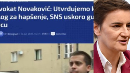Predsednica Skupštine Republike Srbije Ana Brnabić kritikovala je sudsku odluku o puštanju na slobodu advokata Radovana Novakovića, koji je, prema njenim rečima, ne samo fizički napao pripadnike policije već i priznao vršenje pritiska na sudstvo – što, kako ističe, predstavlja krivično delo