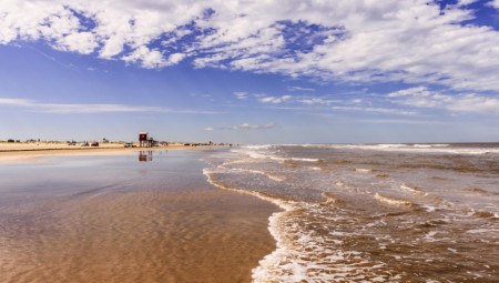 Katalina Delejni (43) je šetala psa, kada je u pesku ugledala nepomično dugačko telo, sivkaste nijanse.