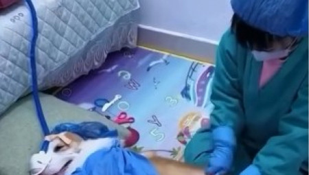 Na internetu se pojavio video koji je u rekordnom roku postao viralan – glavne zvezde su mala devojčica i njen pas korgi, a scena koju su izveli dirnula je i nasmejala hiljade ljudi širom sveta