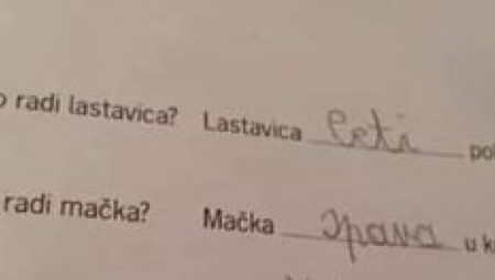 Društvene mreže ne prestaju da bruje o urnebesnoj fotografiji domaćeg zadatka jednog osnovca, čiji je iskren i potpuno nefiltriran odgovor zasluženo postao viralan
