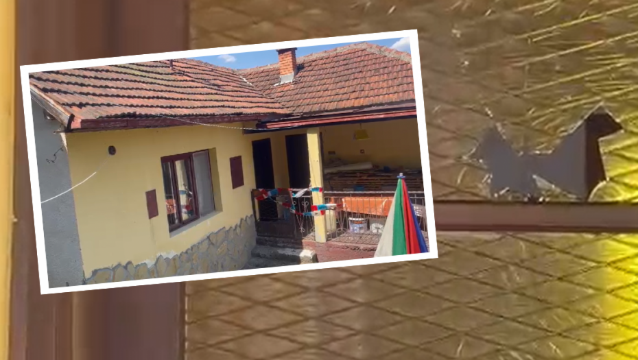 Ubistvo Bajina Bašta