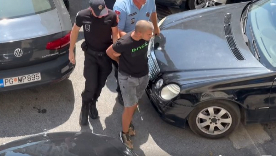 Privođenje Nikole Petrovića