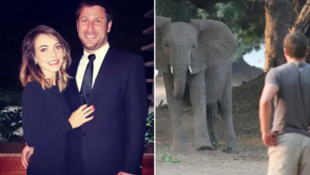 Vlasnik jednog od najpoznatijih južnoafričkih rezervata divljih životinja tragično je stradao kada ga je nasmrt izgazio slon dok je pokušavao da ih udalji od turističkih koliba