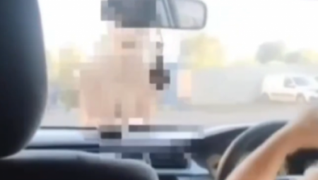 U gradu Murino, u Lenjingradskoj oblasti, zabeležen je neobičan incident kada se naga žena bacala na automobile, izazivajući pometnju među vozačima