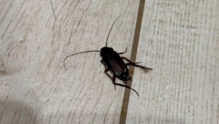 Na teren su izašle specijalizovane ekipe, u zaštitnim odelima, koje su izmerile prisustvo opasnih materija u vazduhu