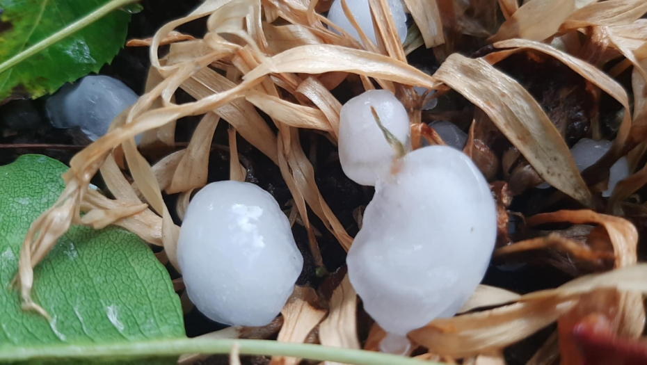 TANJUG/ BRANKO LUKIĆ