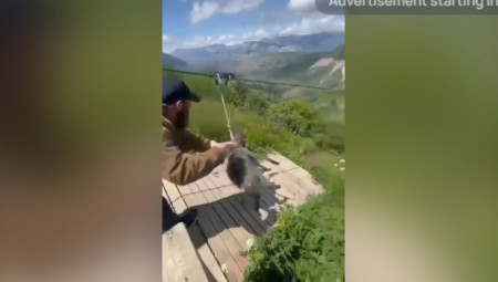 Policija u Dagetanu nije uspela da „izvuče“ izjavu od magarca nakon što ga je vlasnik spustio zip-lajnom. Video je izazvao polemike i zahteve za krivičnim gonjenjem zbog okrutnosti prema životinjama.