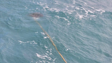 Jedan neimenovani surfer doživeo je pravo iznenađenje tokom odmora na Malti, dok je uživao u vetrovitom danu na obali