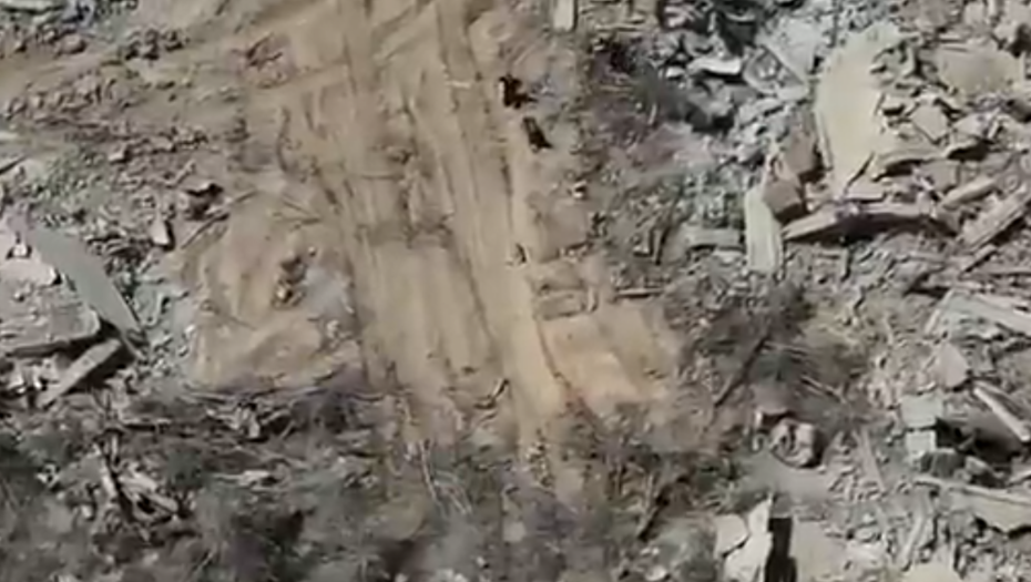 Militanti se predaju