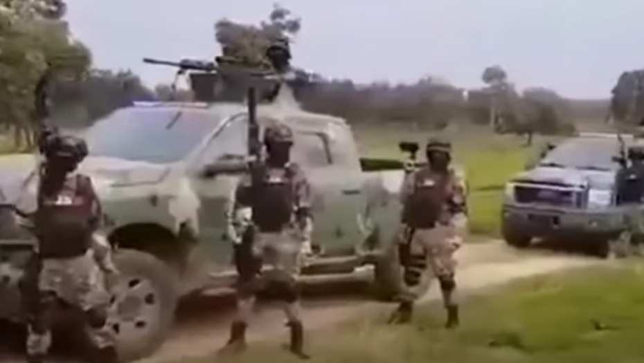 Meksički narko kartel